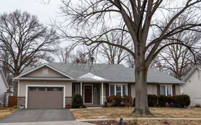 How to Spot a Weak Tree Before Winter Snow Load Damages It