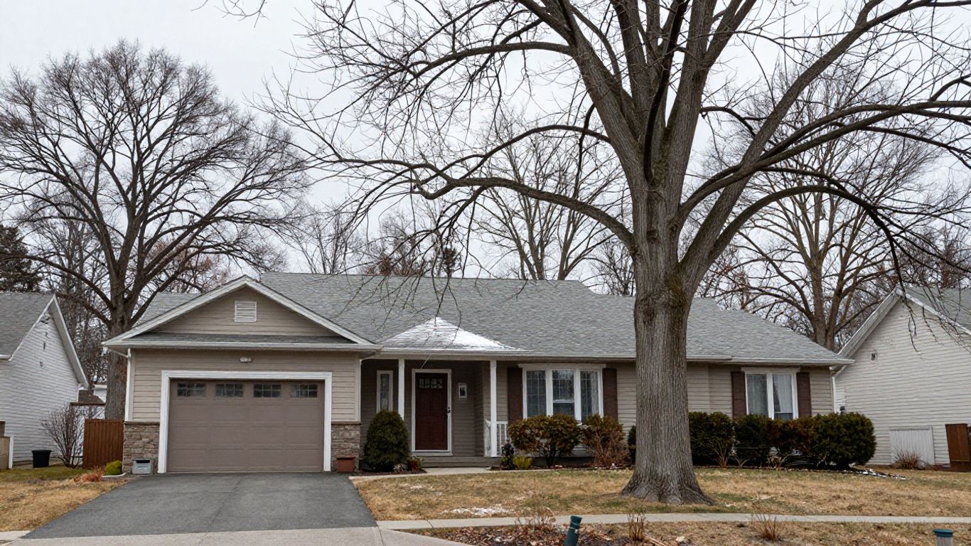 How to Spot a Weak Tree Before Winter Snow Load Damages It